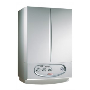 Газовый котел Immergas Nike Mini 28 KW Special (дым. 2 теплообм.)